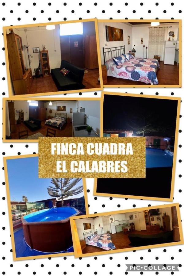 La Cuadra Finca El Calabres Aguimes Ngoại thất bức ảnh