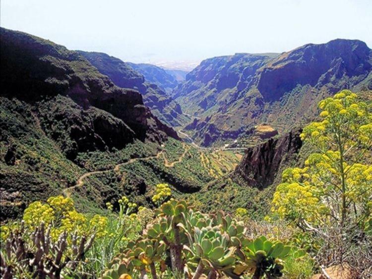 La Cuadra Finca El Calabres Aguimes Ngoại thất bức ảnh